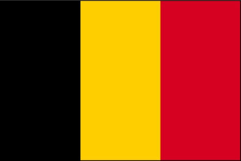 Streaming Serbie – Belgique (12.10.2012, Qualification Coupe du Monde 2014 Groupe 1)